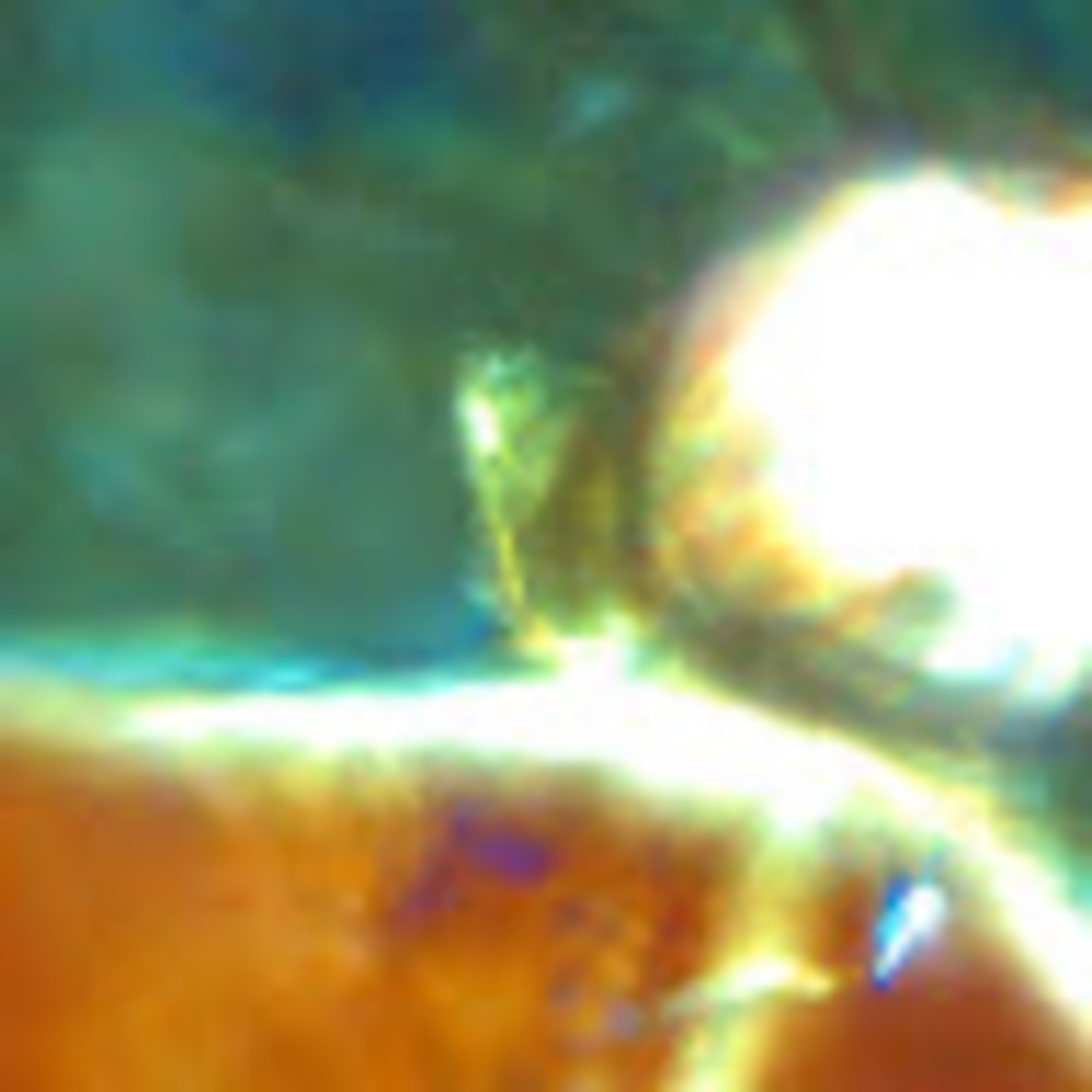 Meet your Posher, Devy